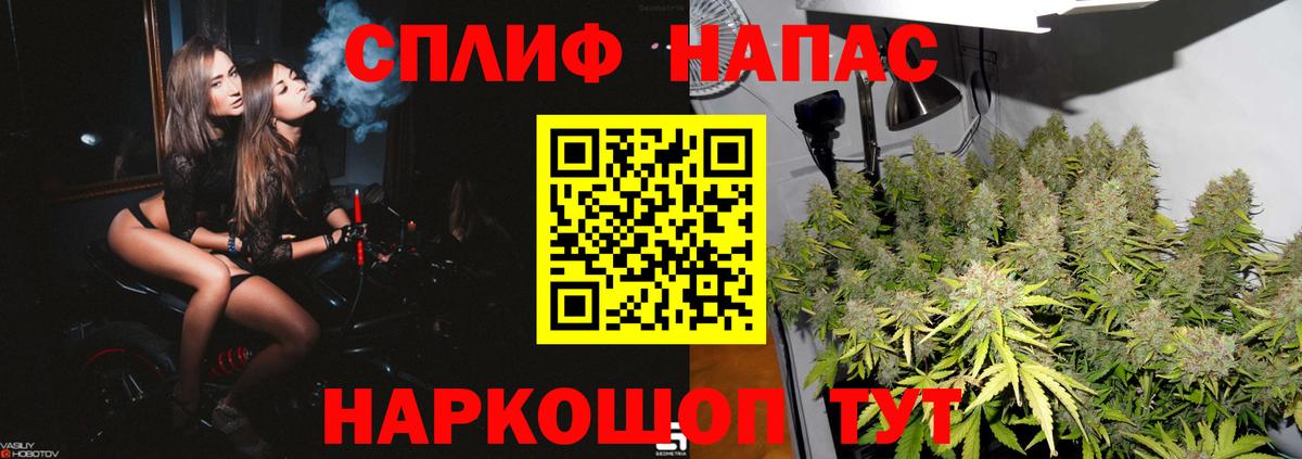 Каннабис марихуана  Бошки марихуана Amnesia  Коряжма  Канабис Bruce Banner  Вход с VPN 